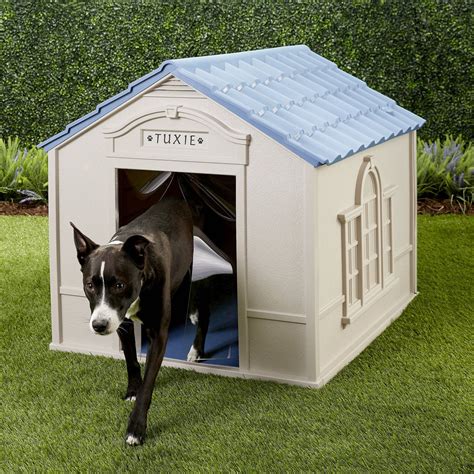 large insulated dog house